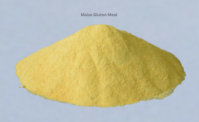 Maize Gluten Meal